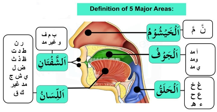 Tajweed 3